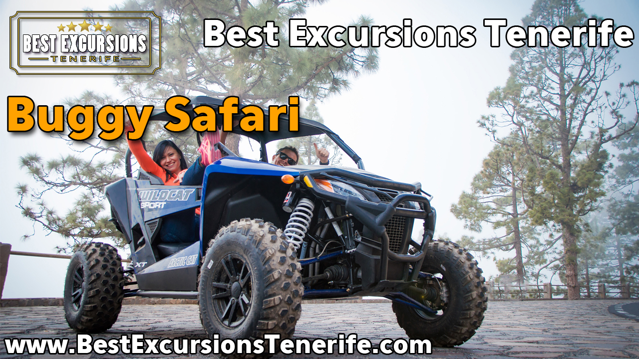 Buggy Safari Tenerife (Arctic Cat) Best Excursions Tenerife